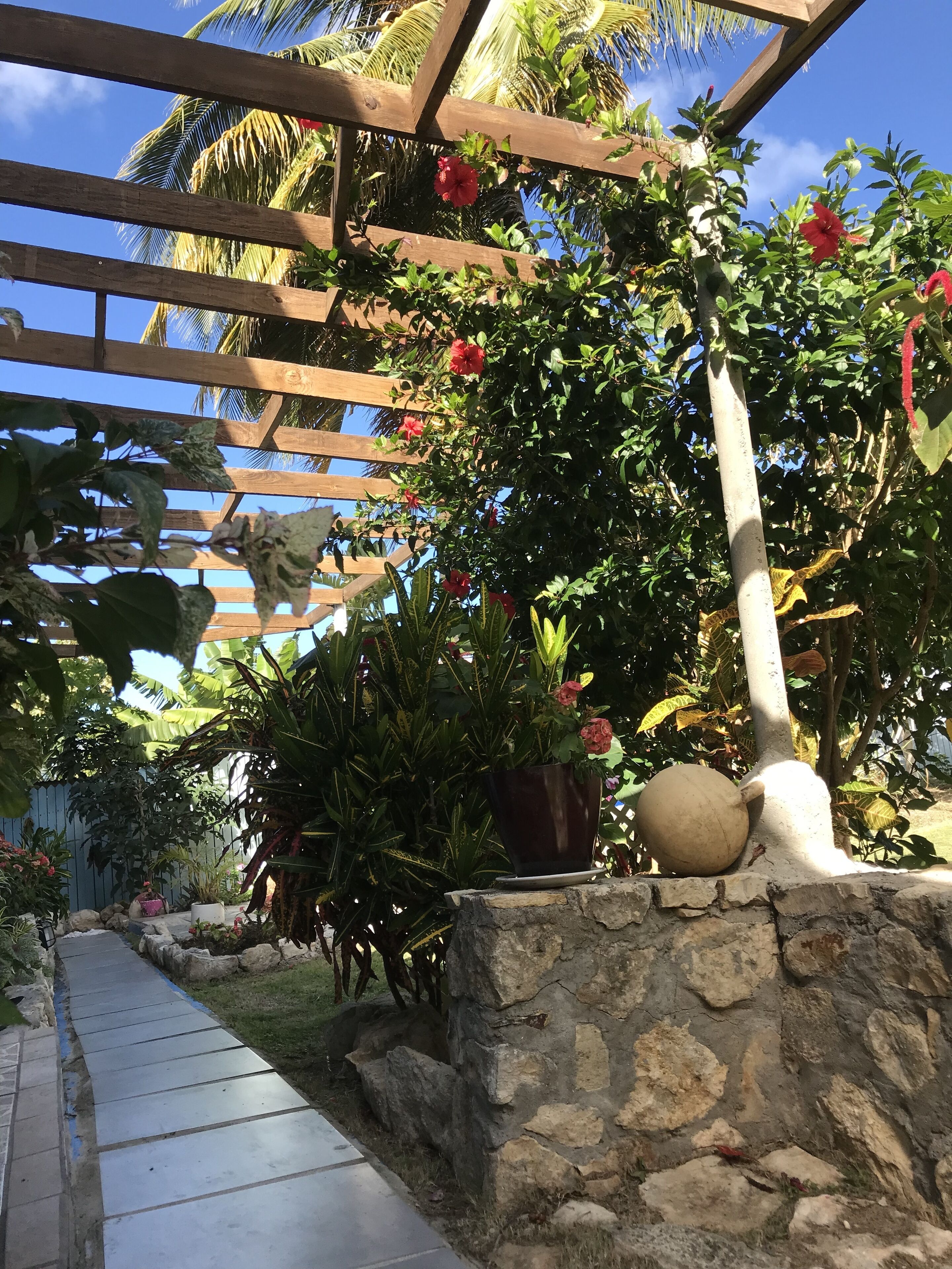 Photo - Ellen Bay Cottages