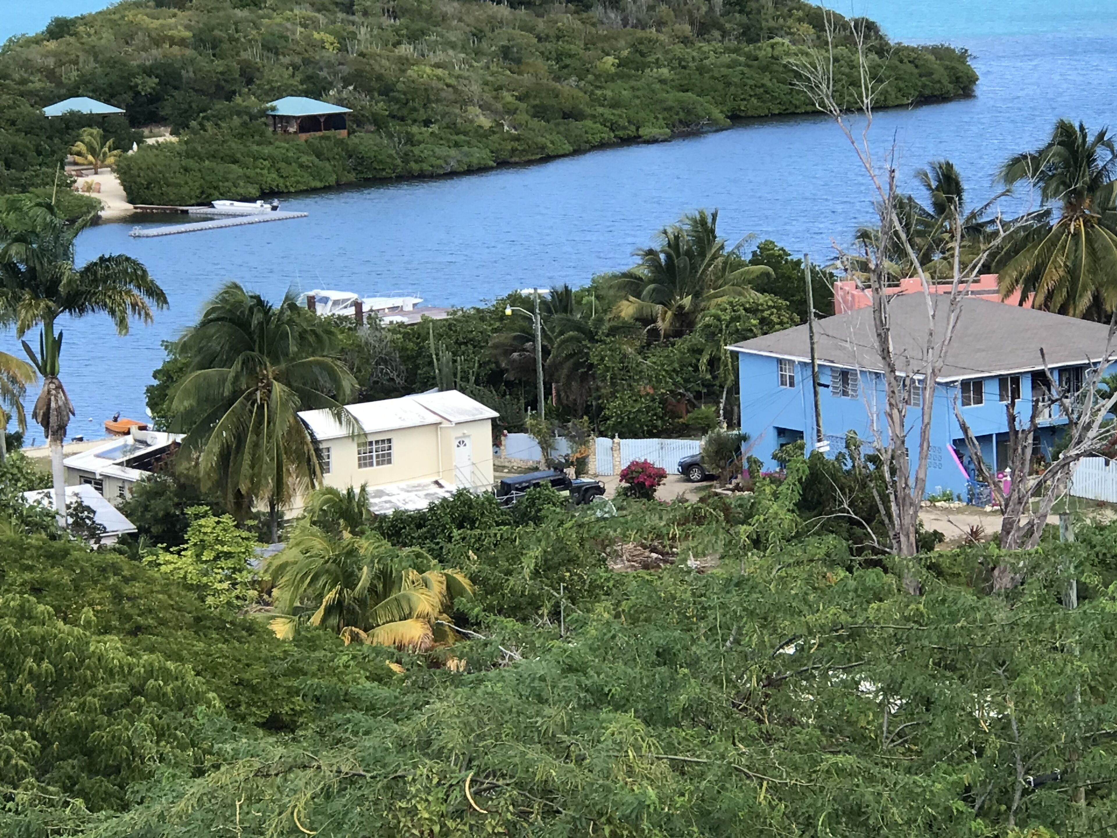 Foto - Ellen Bay Cottages