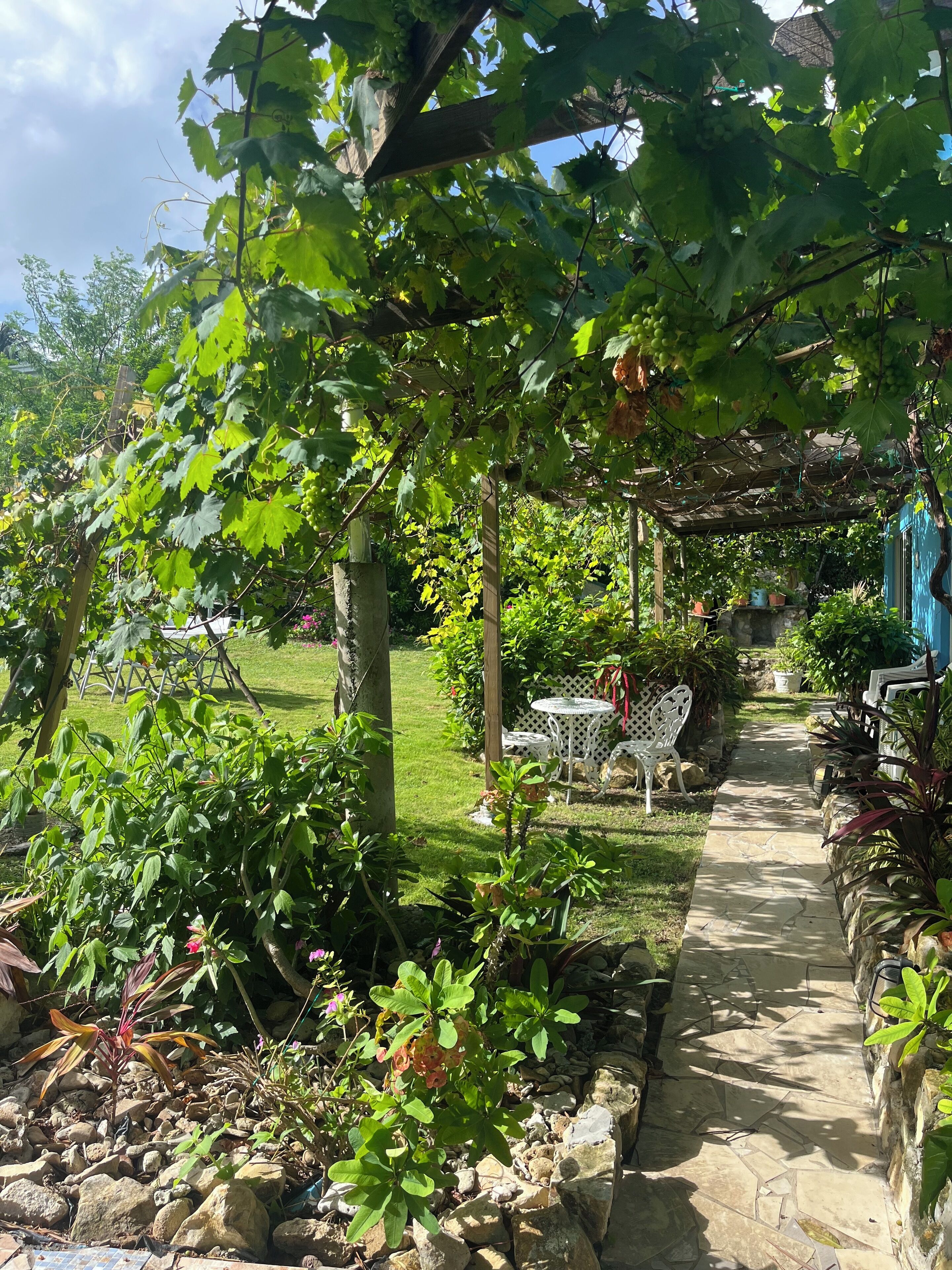 Photo - Ellen Bay Cottages