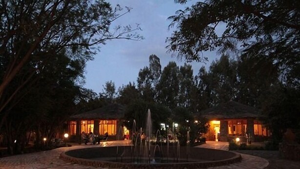 Un patio con una fuente, rodeado de árboles y dos edificios con iluminación cálida.