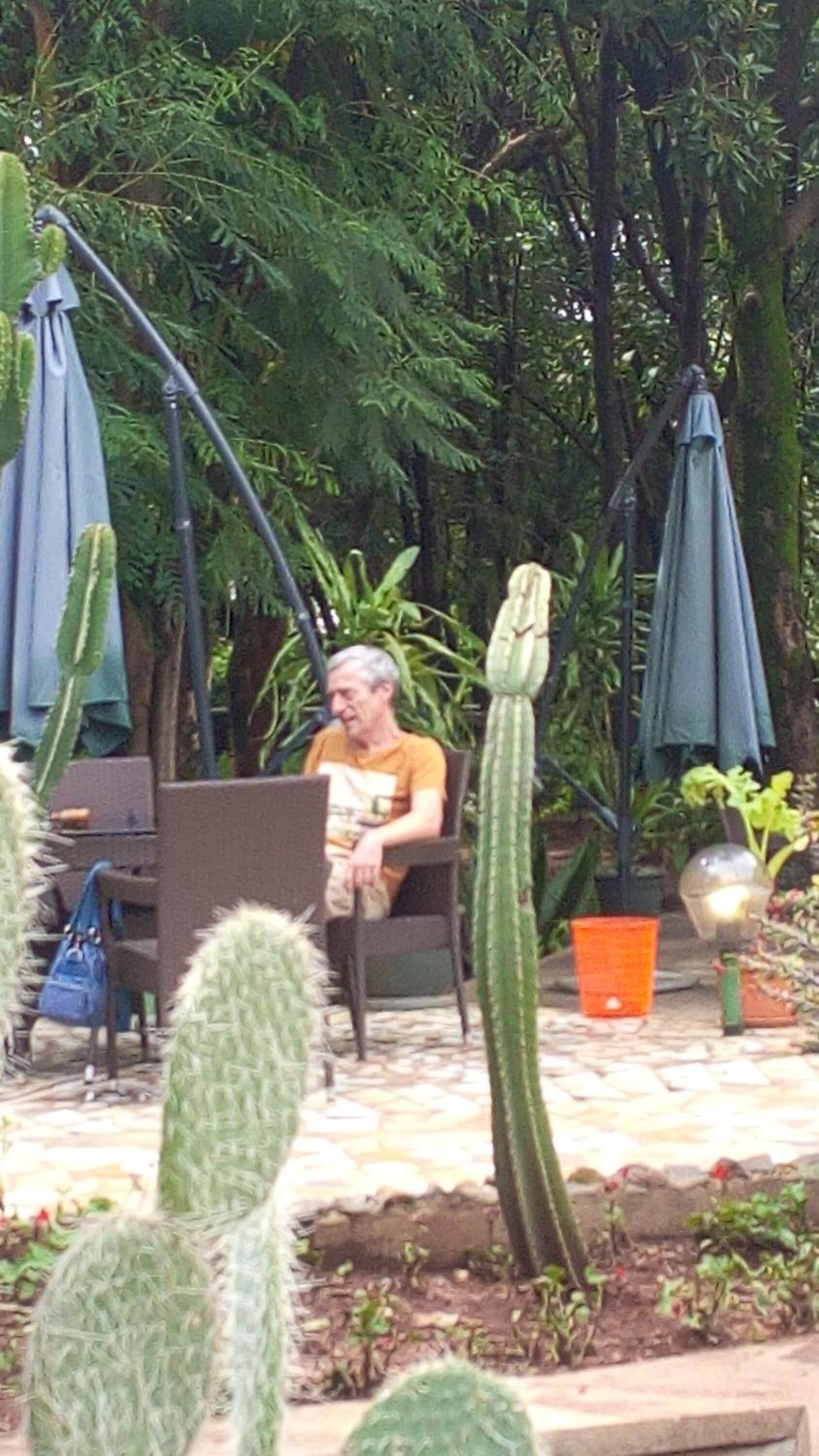 A man seated at a table in a garden with cacti and umbrellas.