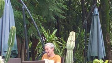 A man seated at a table in a garden with cacti and umbrellas.