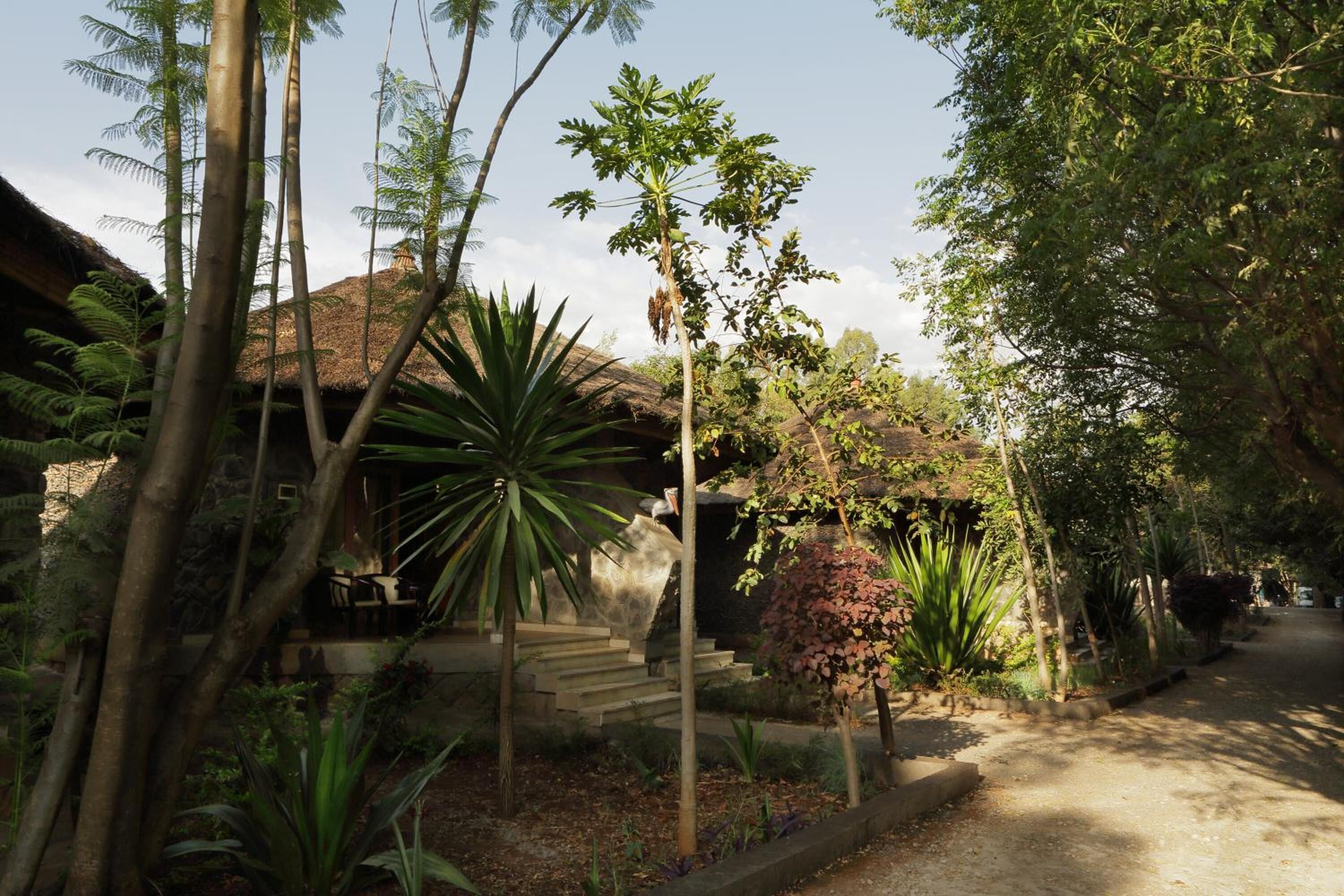 A garden with a thatched-roof structure, surrounded by various plants and trees.