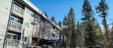 A multi-story building with a green roof, parked cars, and tall pine trees in the background.