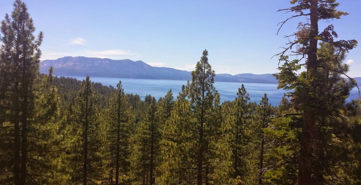 A forested area with a lake and mountains in the background.