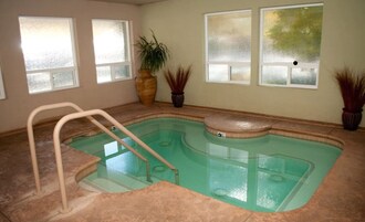 An indoor swimming pool with a built-in seating area, a ladder, and potted plants.