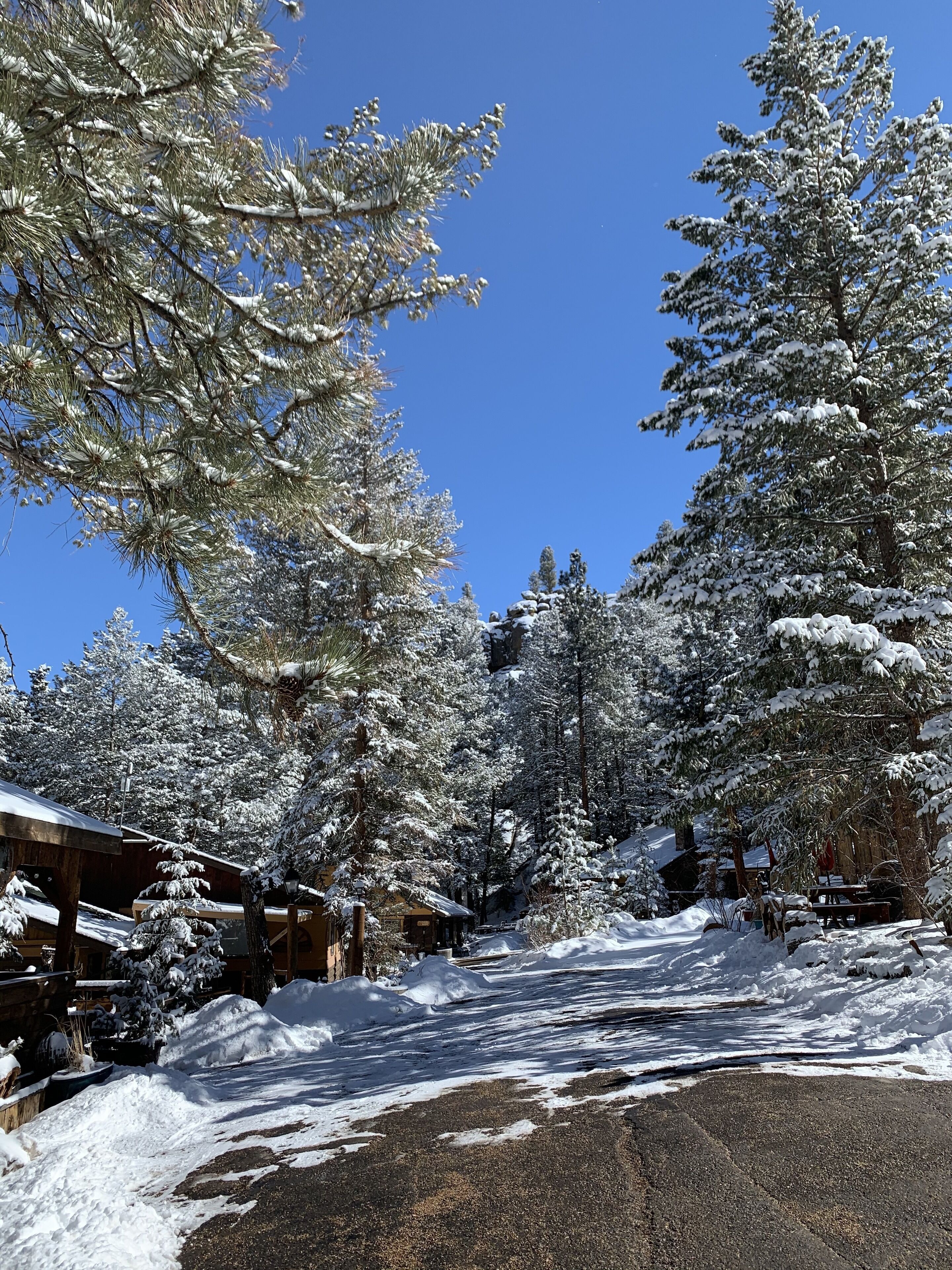 A snow-covered landscape with a building that has a wooden exterior and a sloped roof.