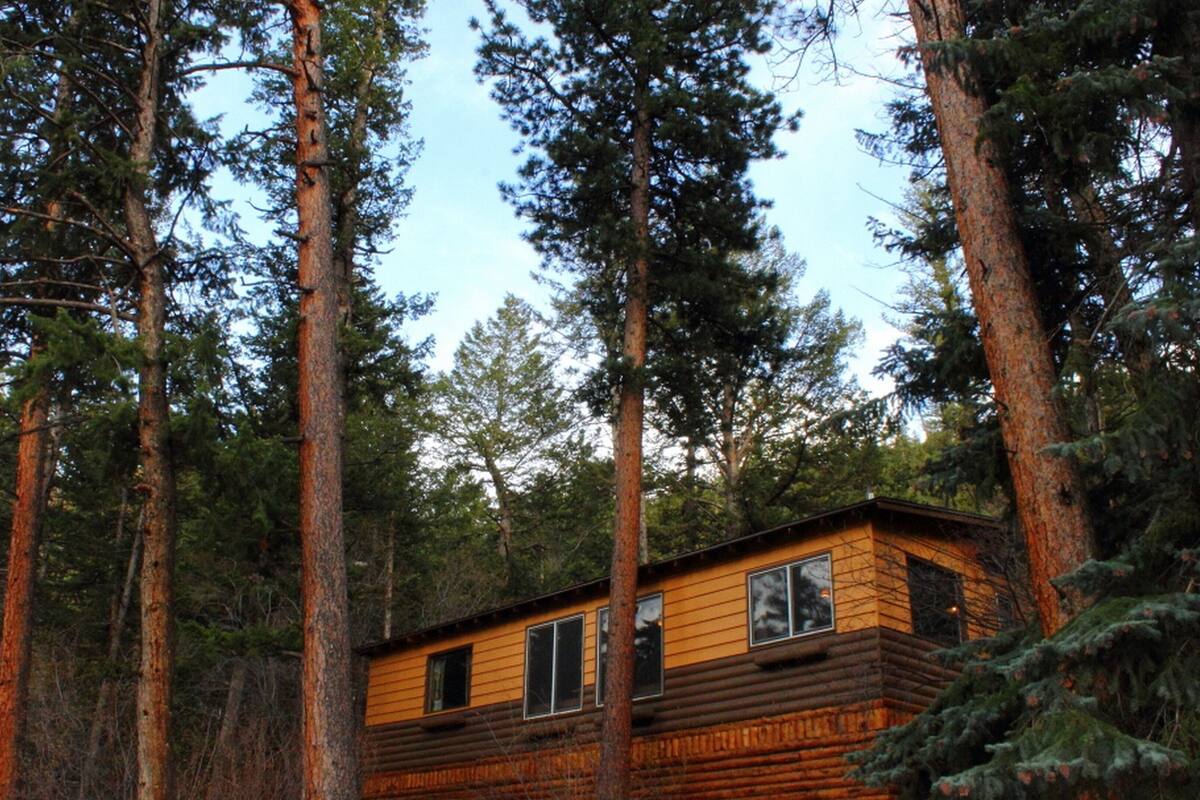 A log cabin surrounded by tall pine trees.