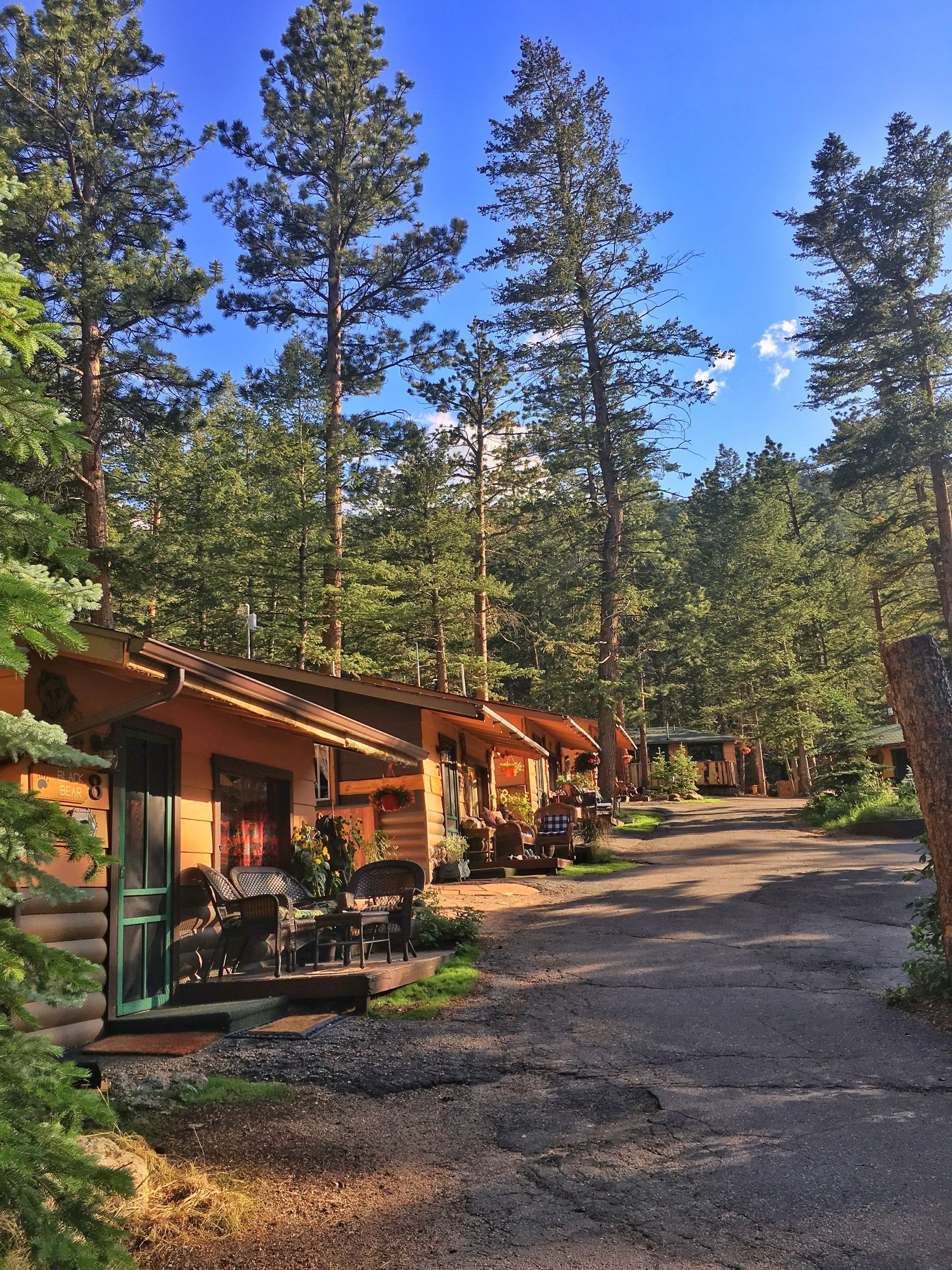A row of log cabins with outdoor seating, surrounded by tall pine trees.