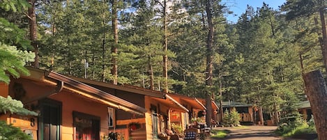 Una hilera de cabañas de madera con mobiliario exterior, rodeadas de altos pinos.