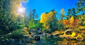 Paisagem natural com um riacho, pedras e árvores em diversas cores outonais.