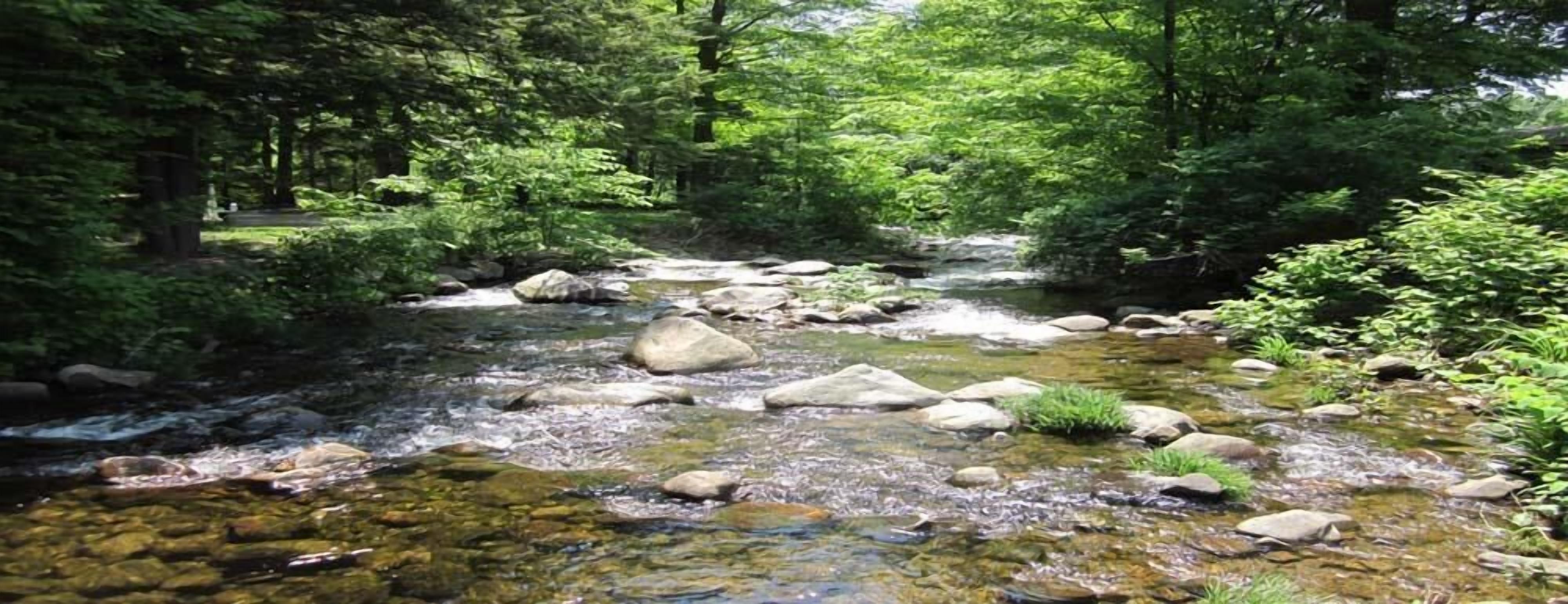 Foto - Brookside Motel & Cabins