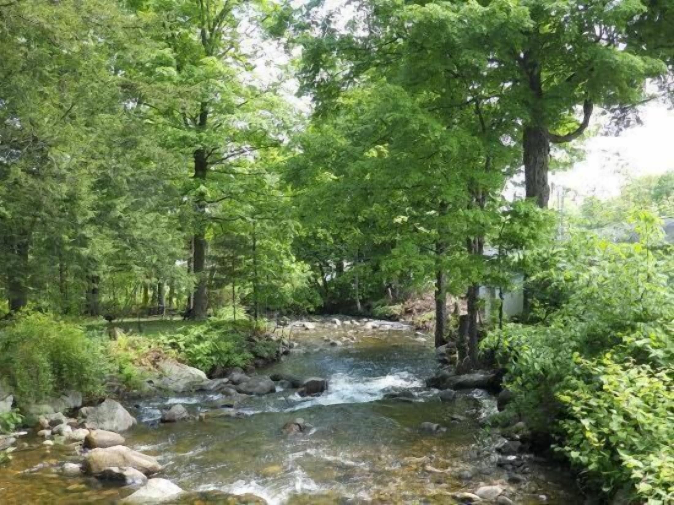 Foto - Brookside Motel & Cabins