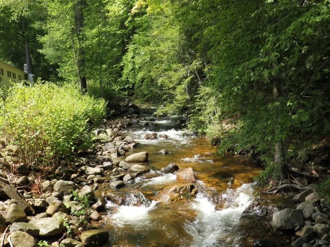 Foto - Brookside Motel & Cabins