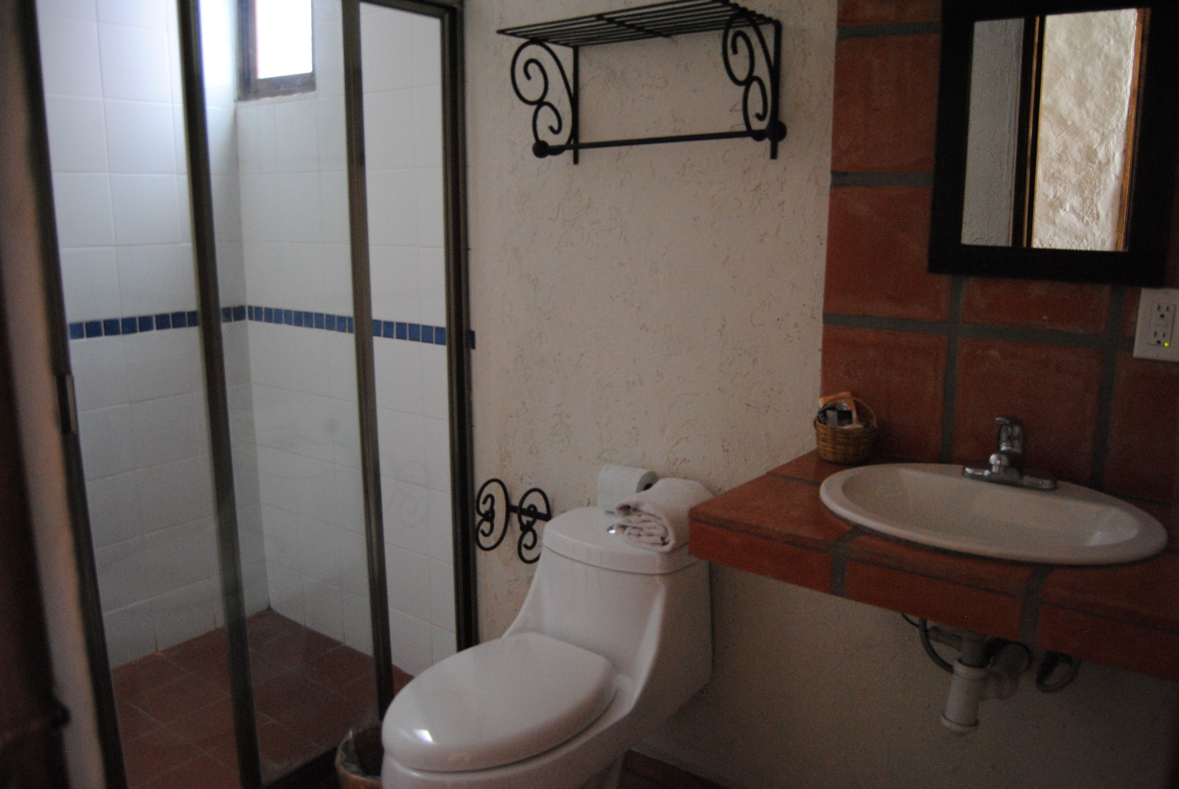 shower, designer toiletries, hair dryer, towels