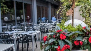 Un espace extérieur aménagé pour les repas, avec des tables et des chaises, entouré de plantes en pot et d’un mur de briques.