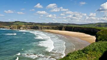Vlak bij het strand, vissen