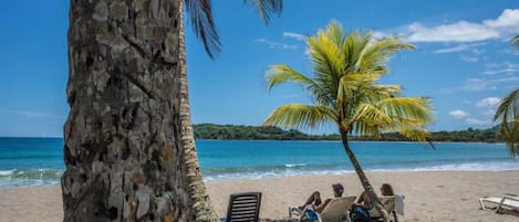 Traslado desde/hacia la playa gratis, camastros y toallas de playa 