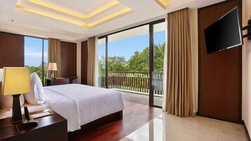 Premier Suite | View from room