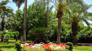 Jardim
