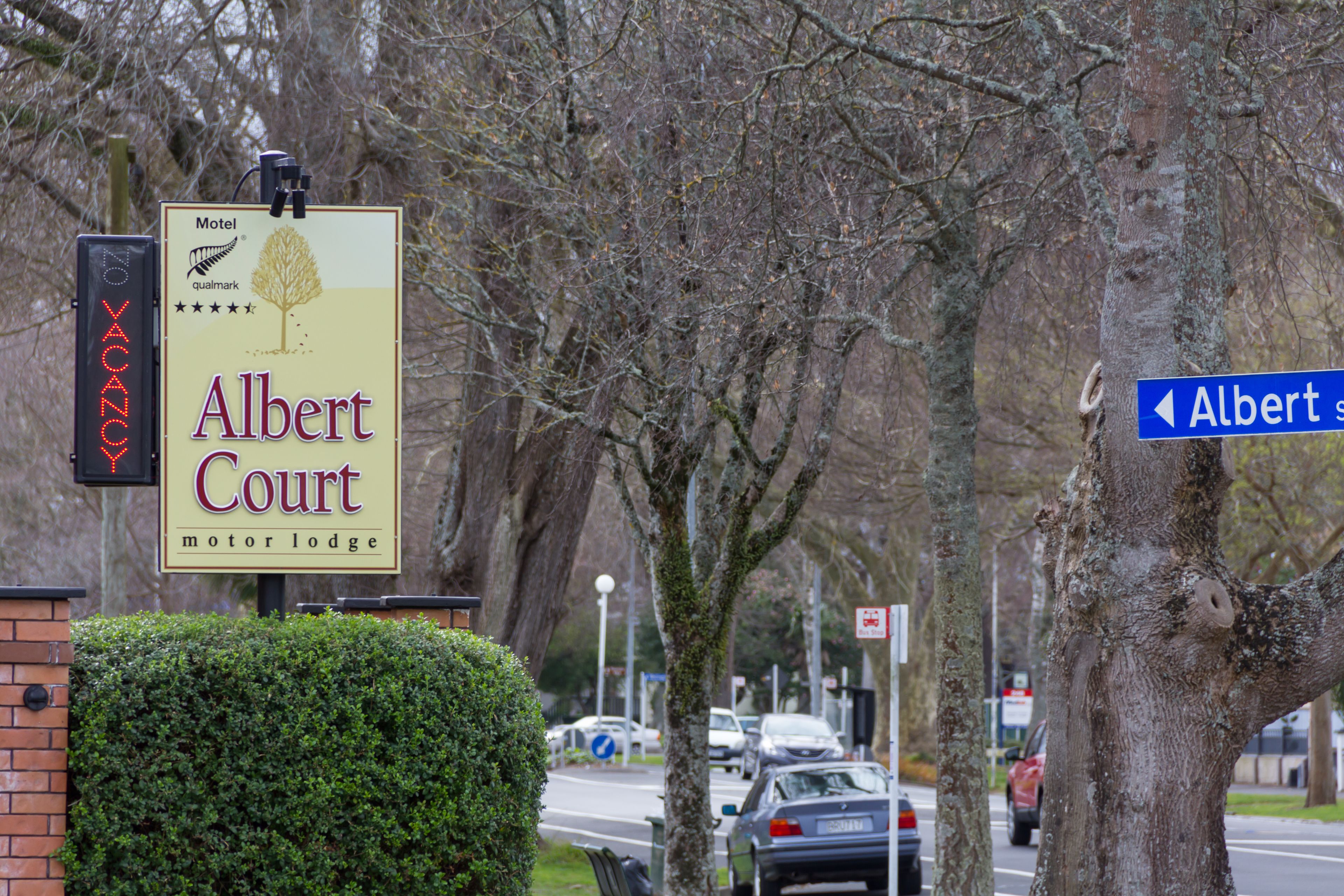 A sign for Albert Court Motor Lodge with a tree and a star rating.