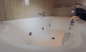Executive Room | Indoor spa tub - Albert Court Motor Lodge (Hamilton)