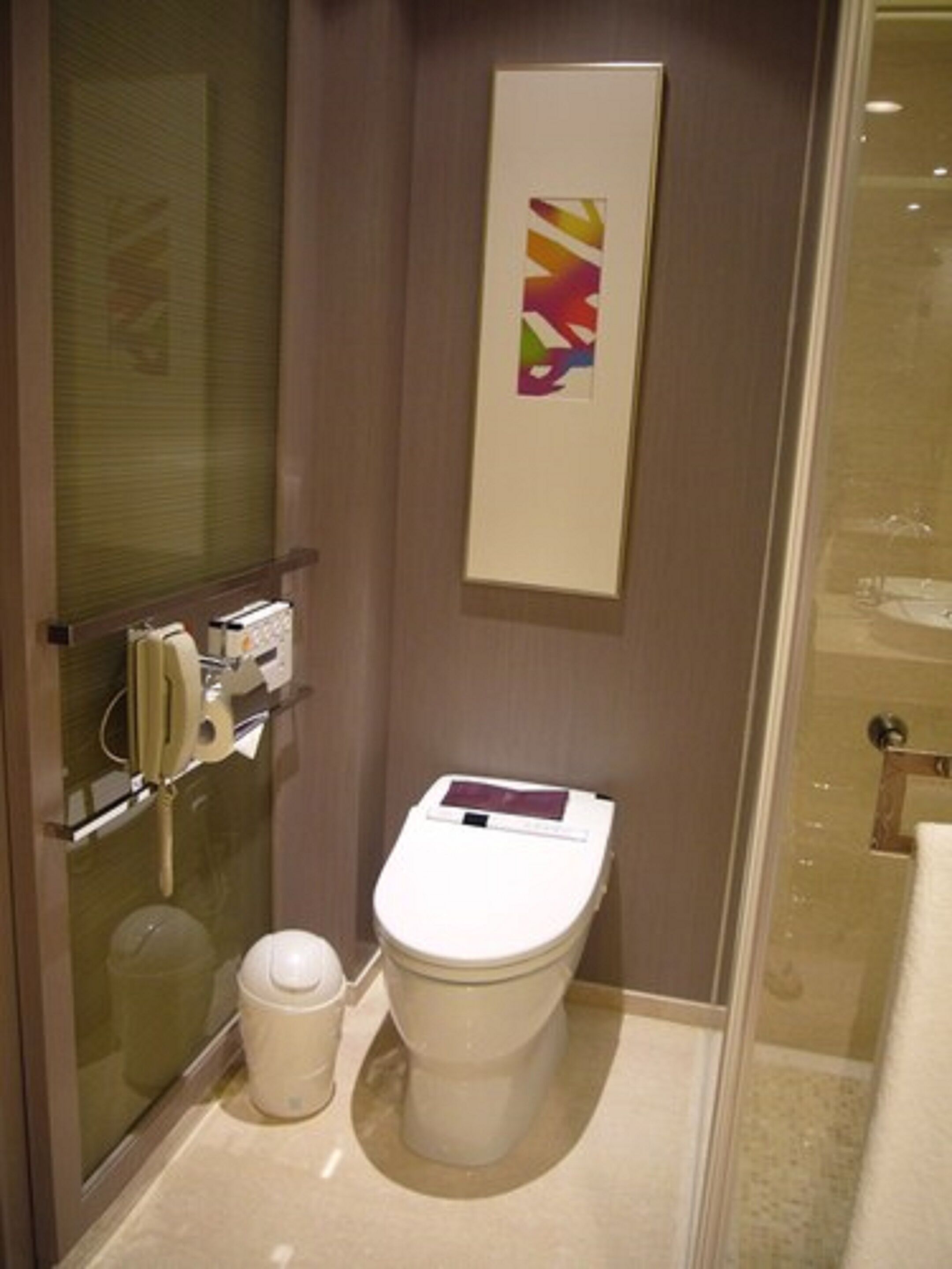 A small, modern bathroom with a toilet, a trash can, and a glass shower enclosure.