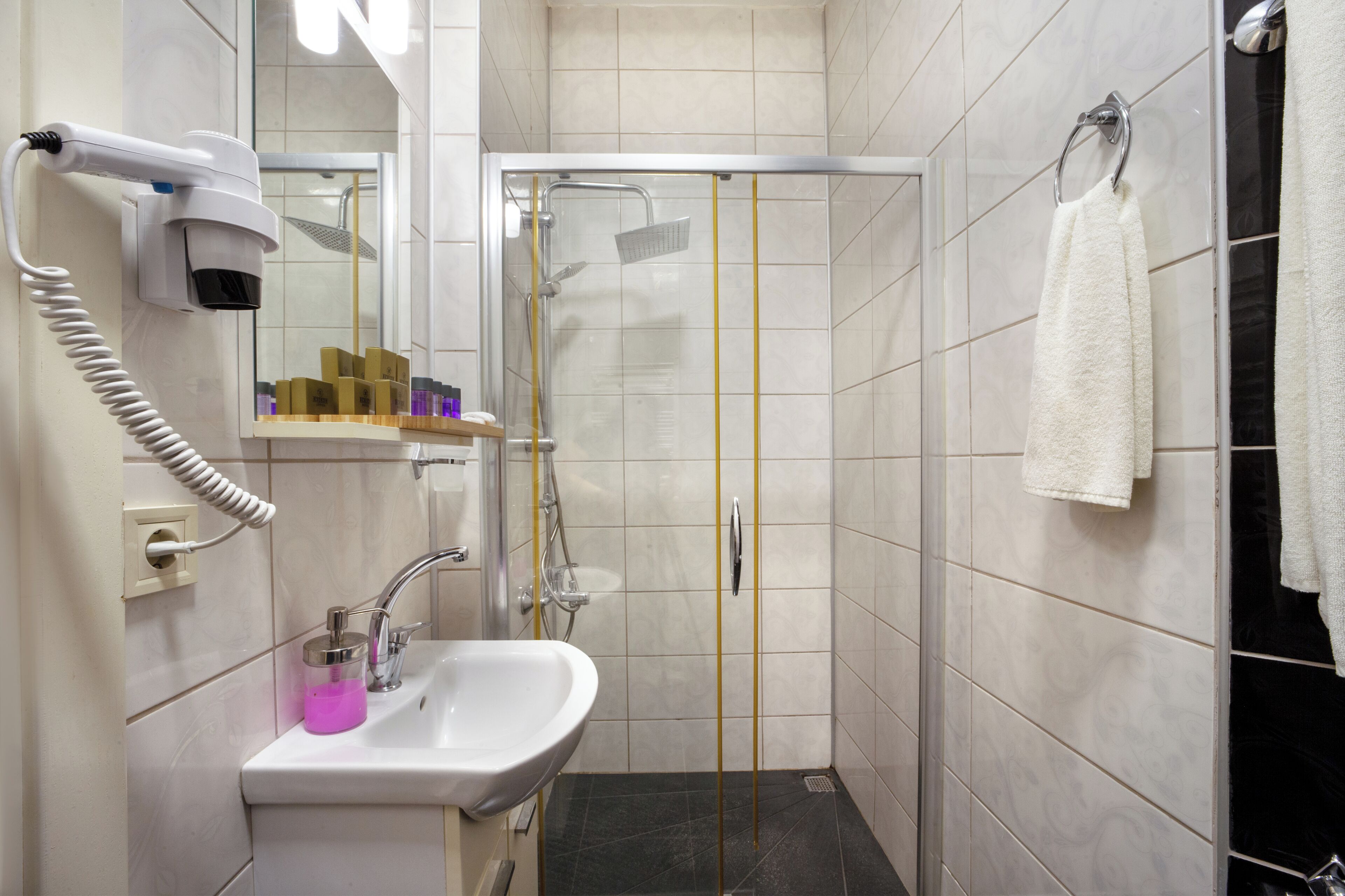 A modern bathroom with a shower, a sink, and a hairdryer.