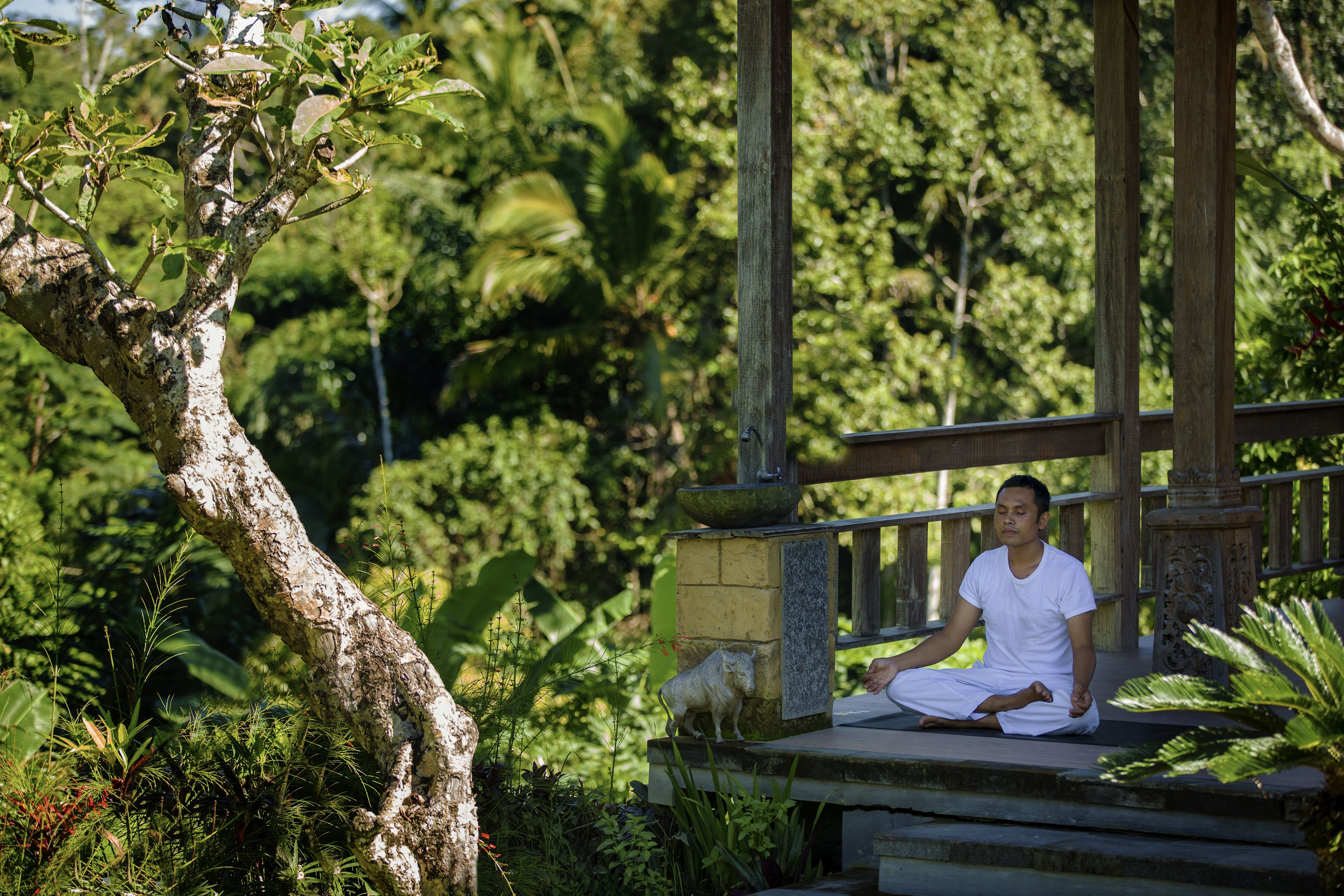 Una persona meditando en un banco de piedra rodeada de abundante vegetación y una estructura de madera.