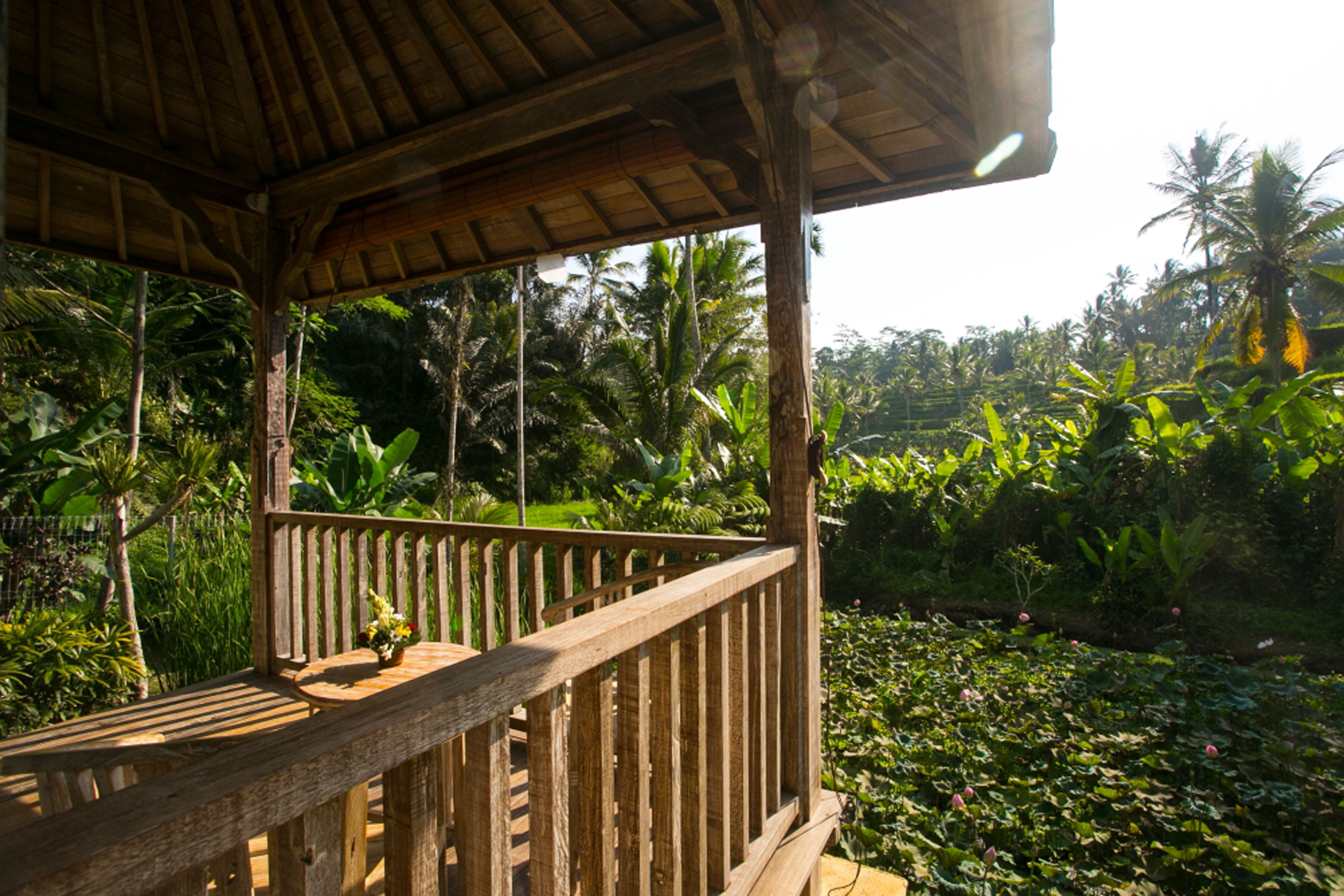 A wooden deck with a railing overlooking a garden with various plants and a pond.