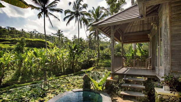 A pool surrounded by lush greenery and a wooden structure with a porch. - Pondok Sebatu Villa (Sebatu)