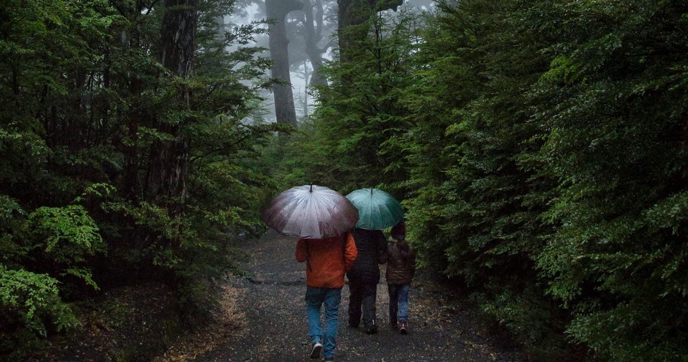 Photo - Cabañas Portal Pucon