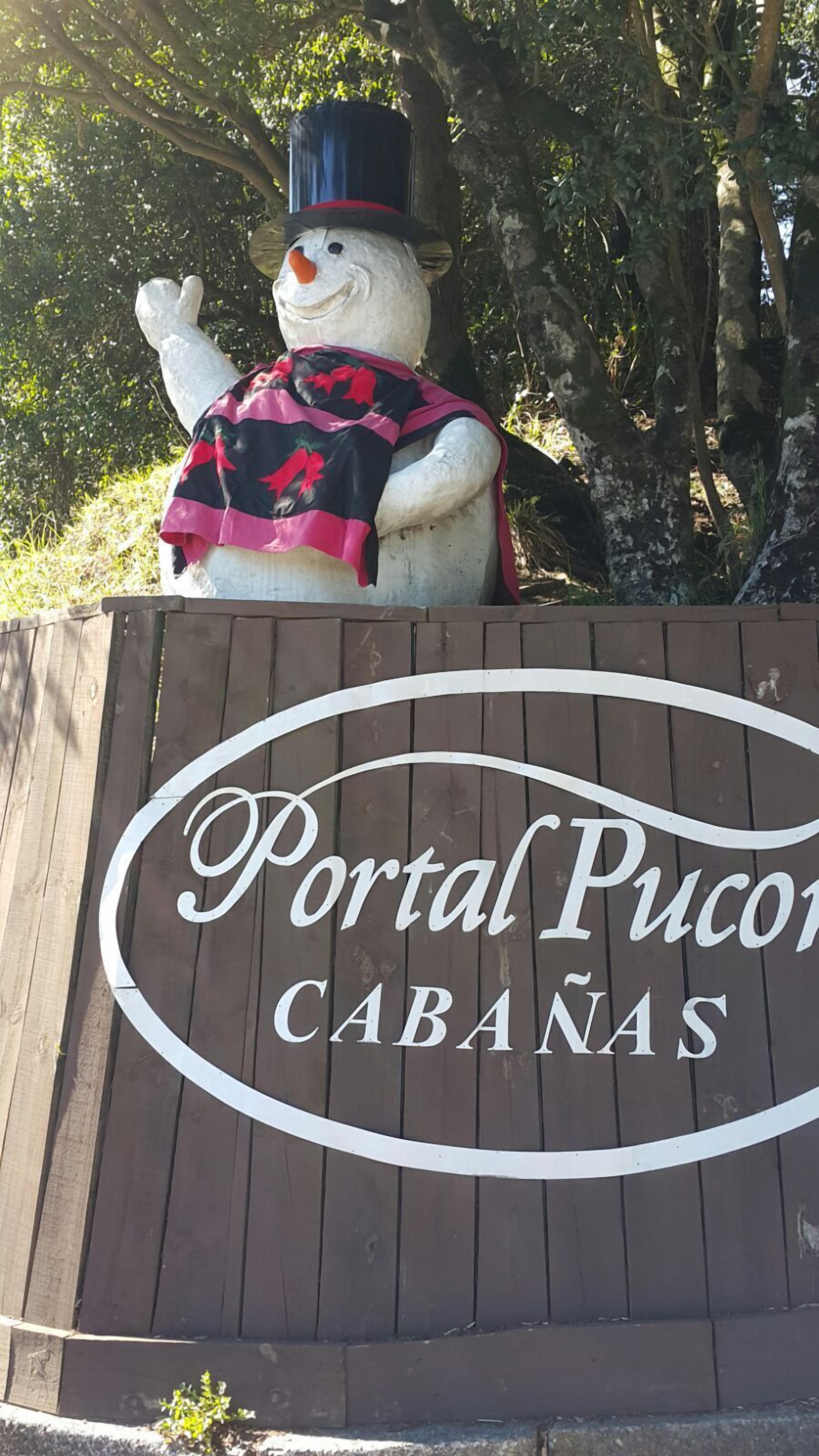 Photo - Cabañas Portal Pucon