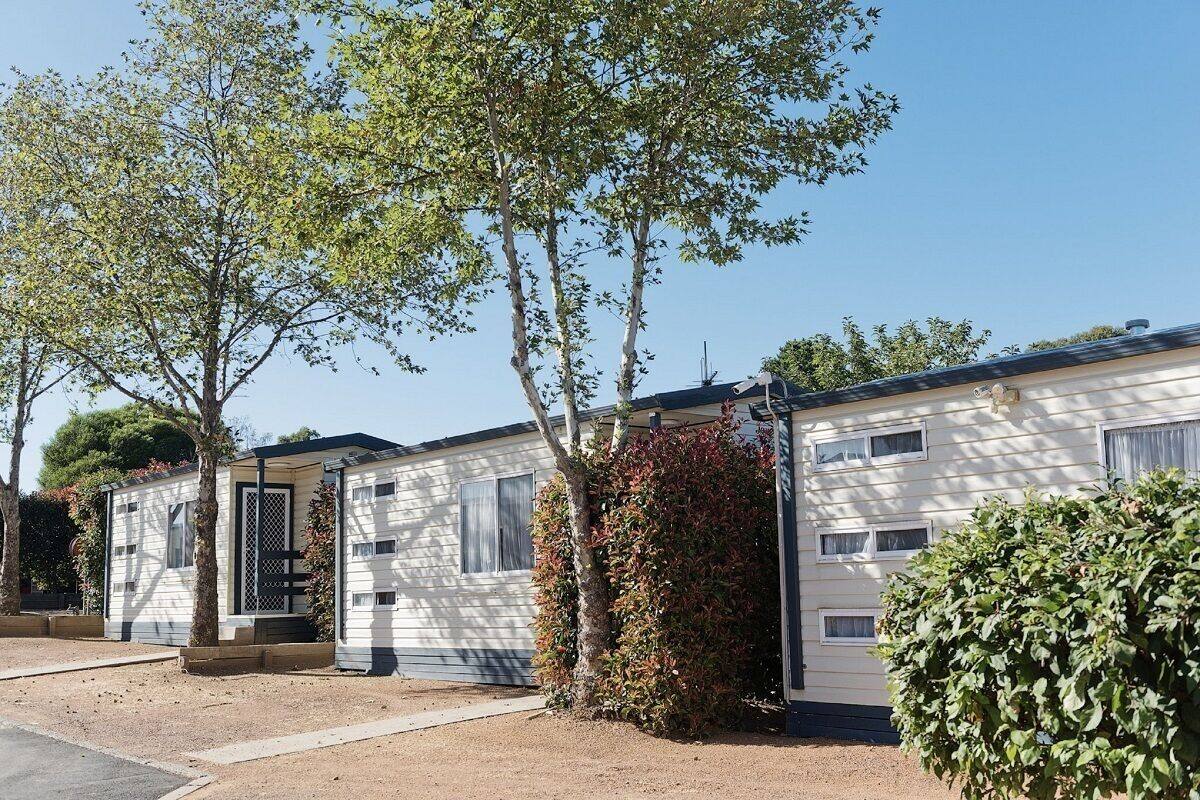 A row of mobile homes with a dirt ground in front, surrounded by trees and shrubs.