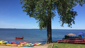 Una spiaggia con una fila di kayak colorati, una barca rossa e tavoli da picnic sotto un albero.