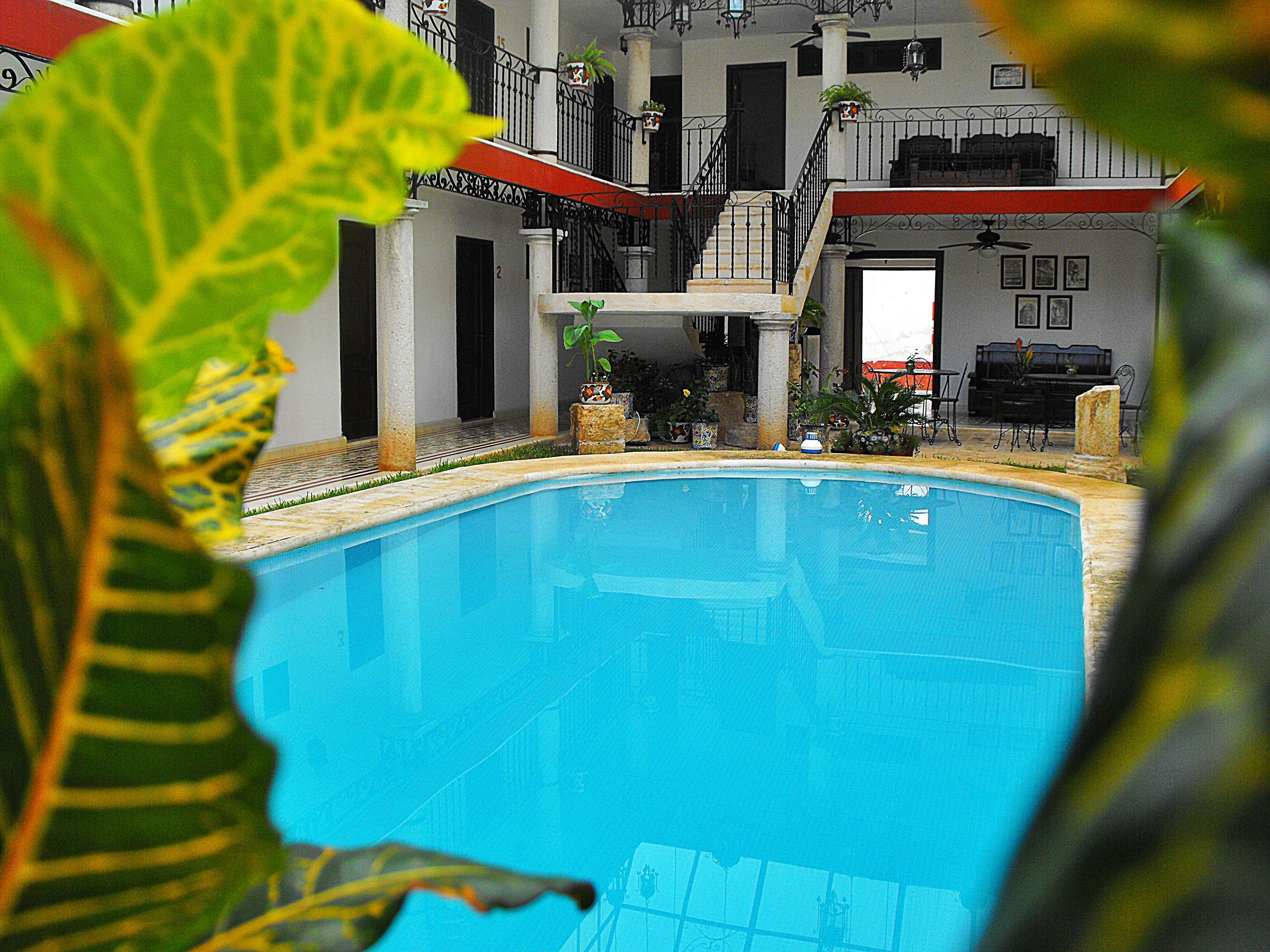 outdoor pool, pool loungers