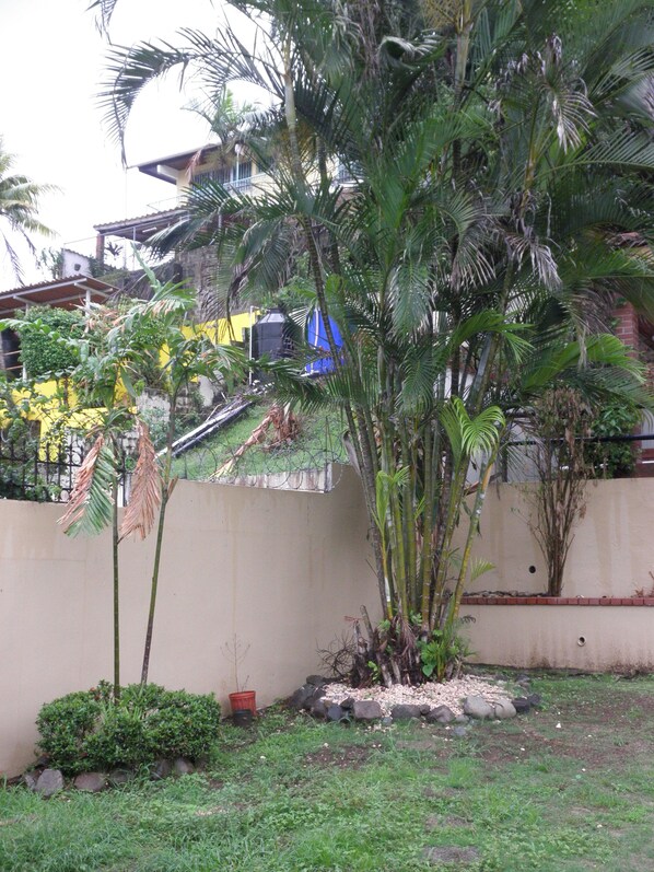 Un jardín con palmeras, un muro de concreto y un edificio amarillo al fondo.