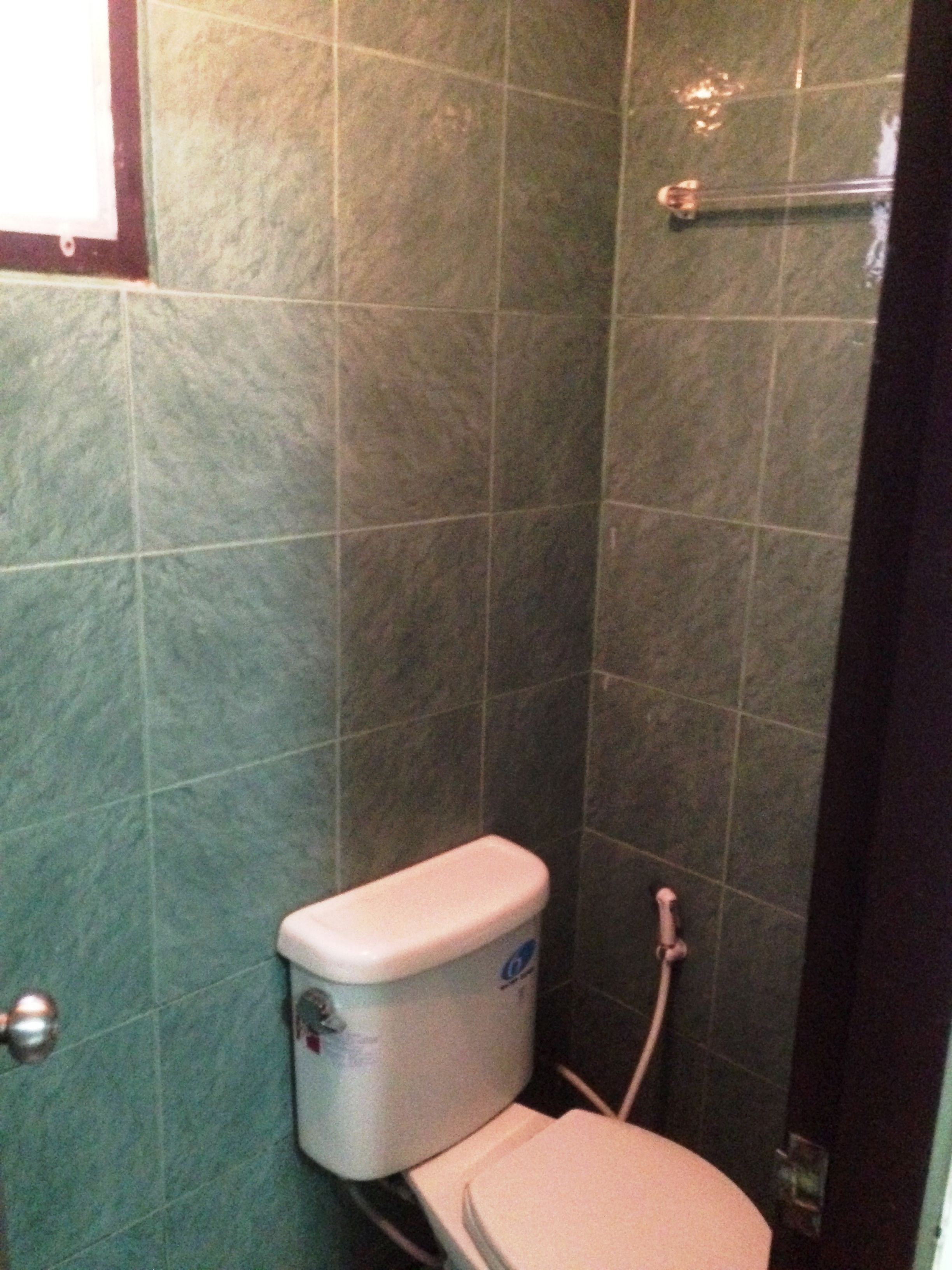 A small bathroom with a toilet, a towel rack, and a shower area.