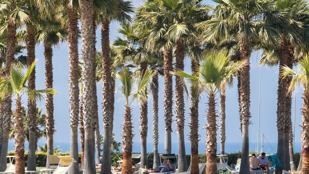 A pool area with palm trees and lounge chairs. - Infinity Resort Tropea (Parghelia)