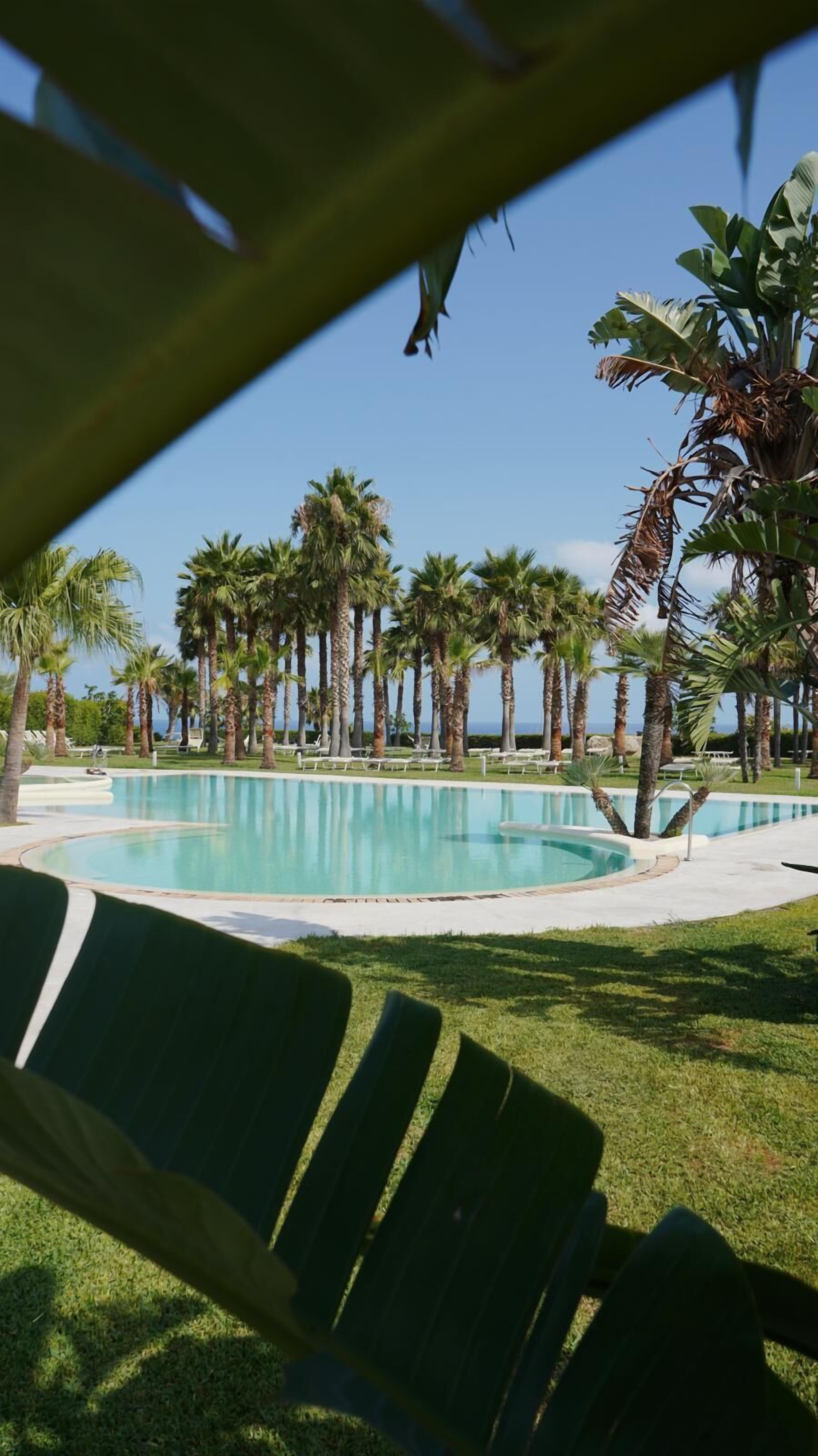 A pool area with palm trees and lounge chairs.