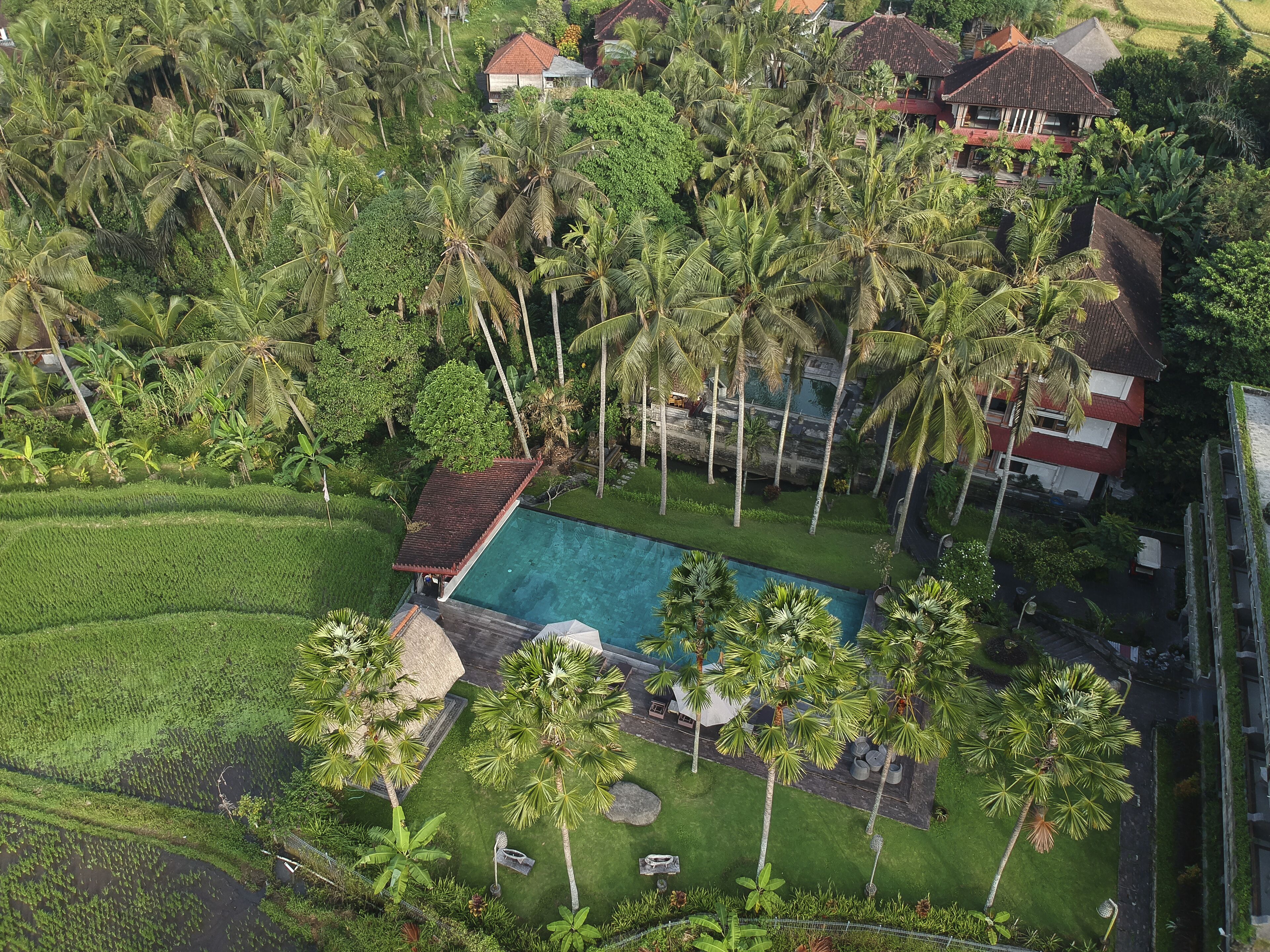 Photo - The Artini Dijiwa Ubud