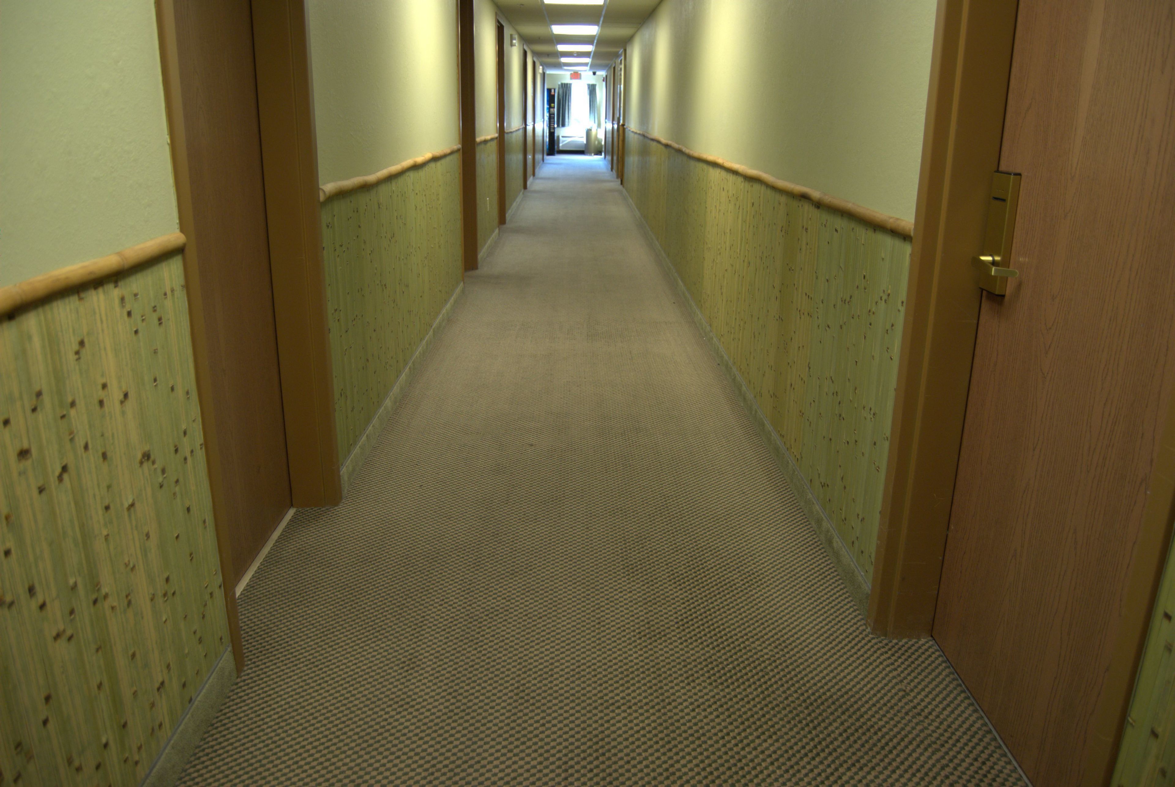 Un long couloir étroit, doté d’un revêtement de sol en moquette et de lambris en bois sur les murs.