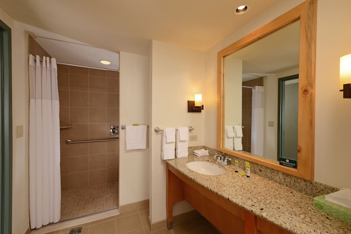 wolf pup den suite - water park included | bathroom | combined shower/bathtub, free toiletries, hair dryer