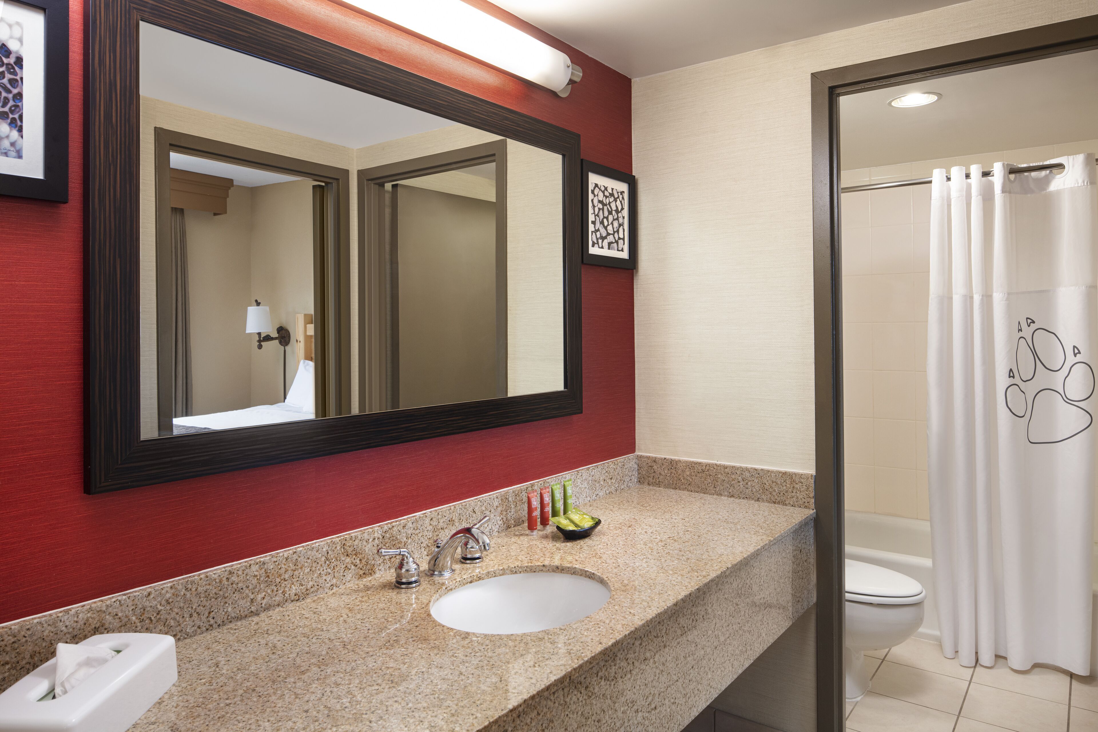 combined shower/bathtub, free toiletries, hair dryer