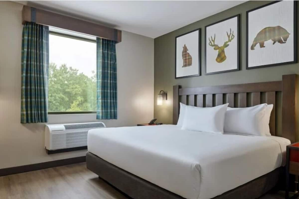 Suite (Bear Cub) | In-room safe, iron/ironing board, alarm clocks, bed sheets