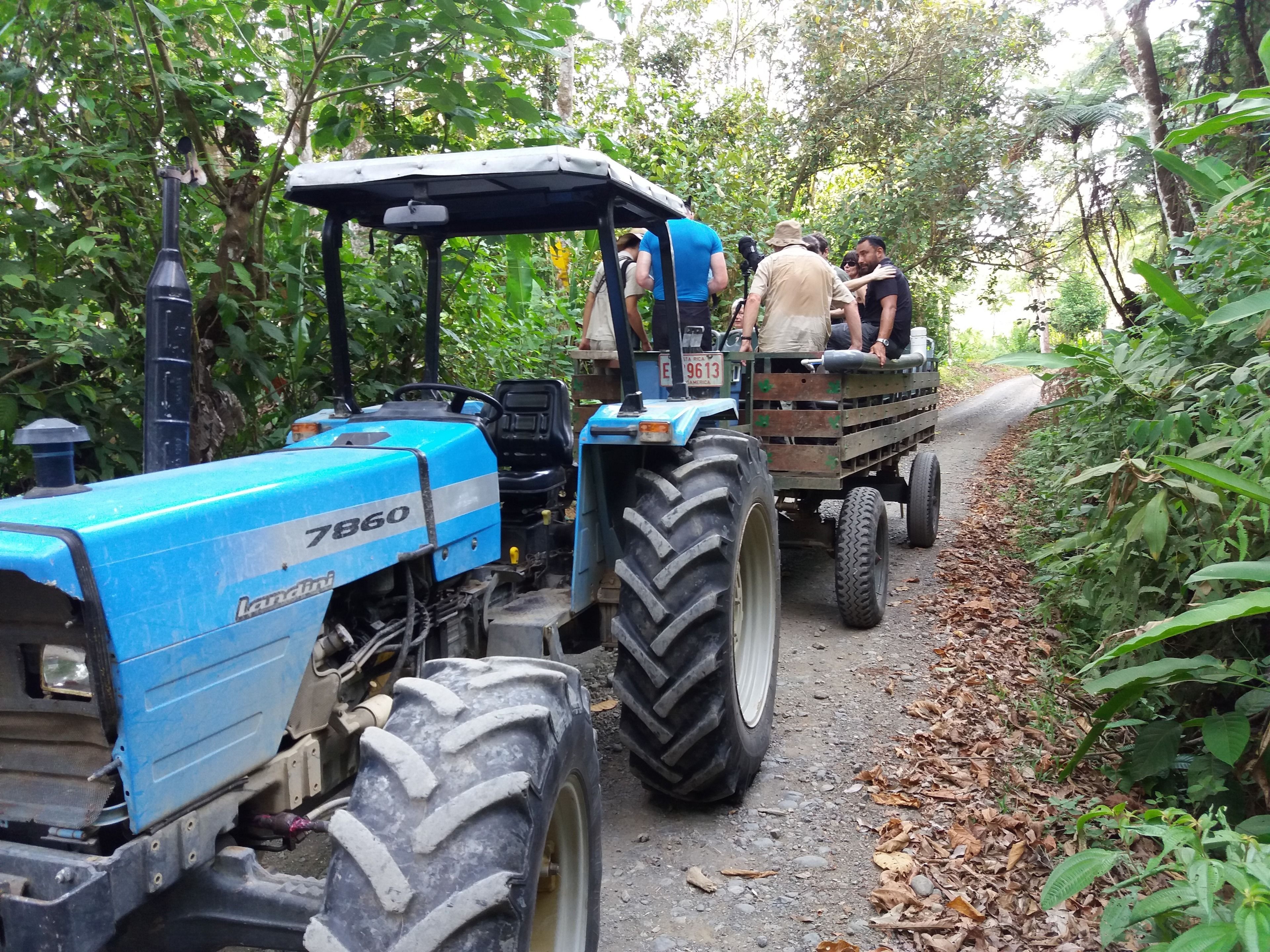 Un trattore blu con un rimorchio che si muove lungo un sentiero stretto, ricoperto di foglie, in una zona boschiva.