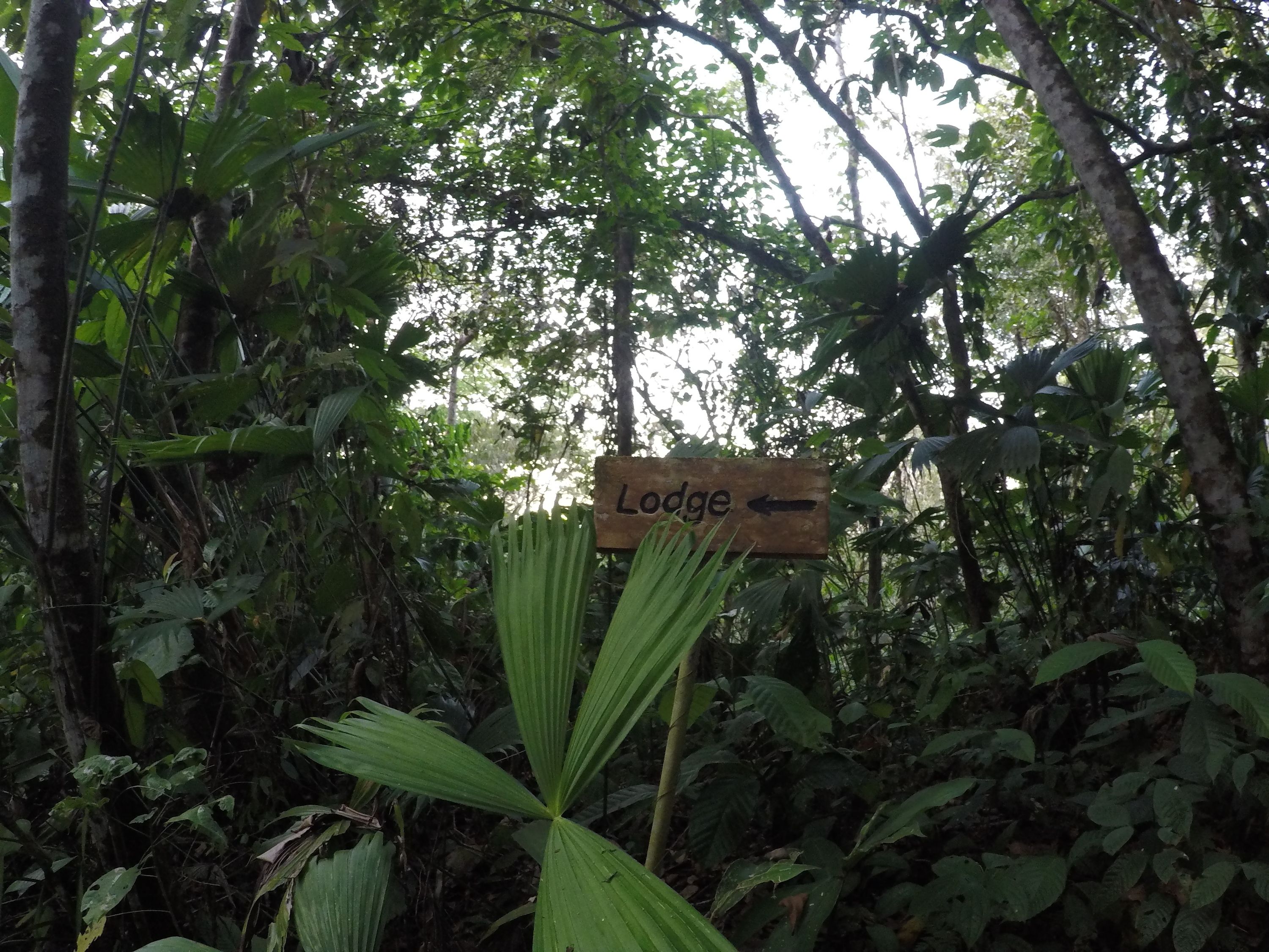 Un letrero de madera con la palabra 'Lodge' y una flecha que apunta a la izquierda.