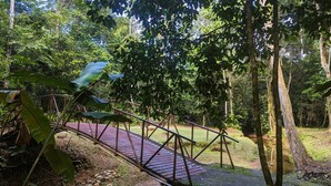 Un puente de madera en un área boscosa.