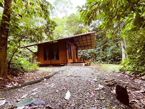 Una cabaña de madera con un sendero de grava que lleva a ella, rodeada de follaje denso.