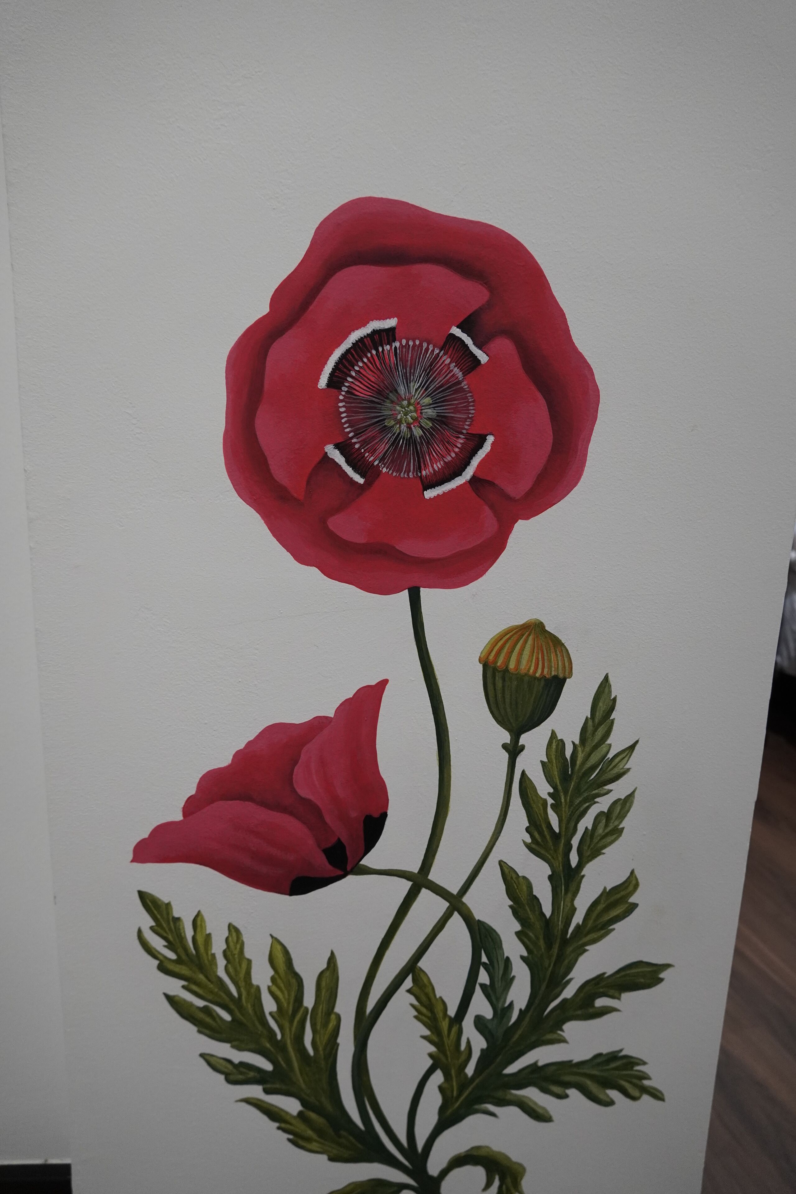 Foto - Cordoba Carpe Diem